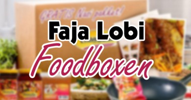 faja lobo surinaamse maaltijdbox